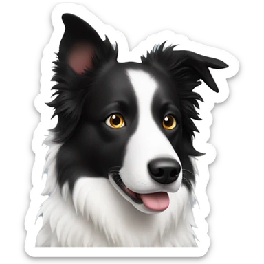 White border collie with black ears and black spot on left eye sticker
