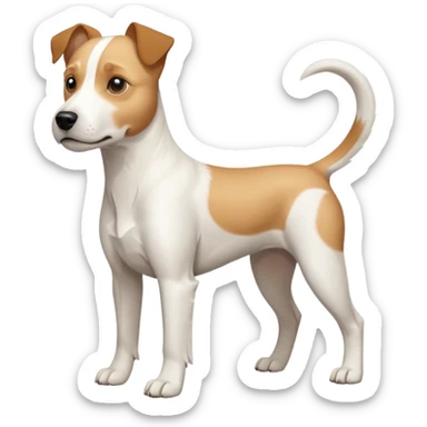 a full body buff white parson russell terrier looking dog the size of a kelpie with light brown long ears and a light brown patch on one eye and a large snout. the rest of the dog is completely white. forward facing sticker