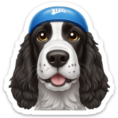 black springer spaniel wearing detroit lions helmet sticker