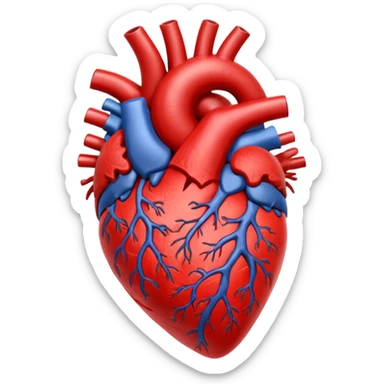 heart human organ sticker