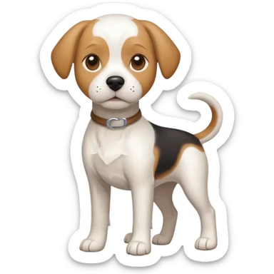 a full body white beagle x maltese x chi dog the size of a kelpie with light brown ears and a light brown patch on one eye sticker