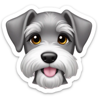 female puppy color "pepper and salt" breed medium Schnauzer with hanging ears hanging ears and a pale pink string around its neck sticker
