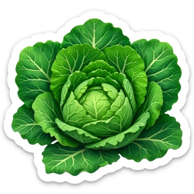 Savoy cabbage sticker