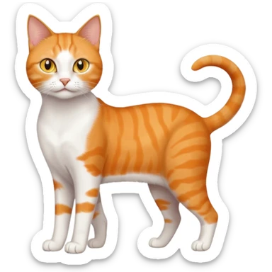 full body realistic orange domestic shorthair slim cat with yellow/orange eyes paw being white and the other being half sticker
