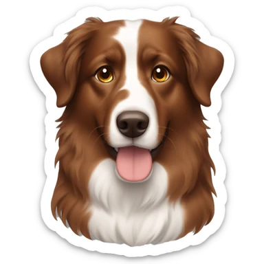 A white girl with long brown hair and a red tri Australian Shepherd  sticker