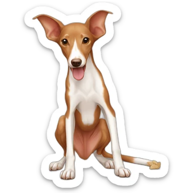 brown podenco eating sticker