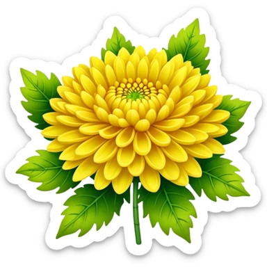 big bouquet Bright Yellow Chrysanthemum, luxuriant, leaf, bud sticker
