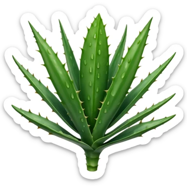 single thick fleshy aloe vera leaf deep green with lighter spots or stripes gently toothed edges long tapered slightly curved smooth waxy surface no pot no cut section soft lighting subtle shadows emoji scale sticker