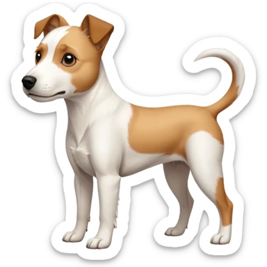a full body facing front on of a buff white parson russell terrier looking dog the size of a kelpie with light brown long ears resting on its face and a light brown patch above one eye and a large snout. the rest of the dog is completely white.  sticker