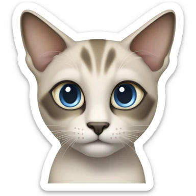 Thai breed adult cat with a light cream-brown body, dark gray nose and face, ears, and paws. sharp ears, and striking light blue eyes  sticker