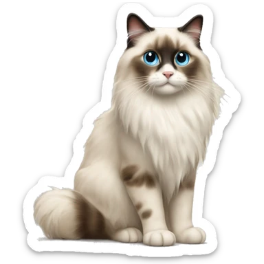ragdoll cat PROUD WALK sticker