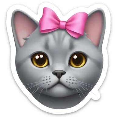 Grey british shorthair cute with a pink bow on her head sticker