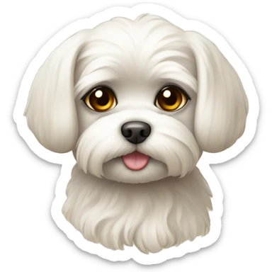 cane maltese con orecchie beige  sticker