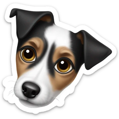 Black and white jack russel  sticker