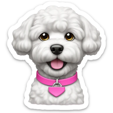 BLACK bichon dog with a pink collar sticker