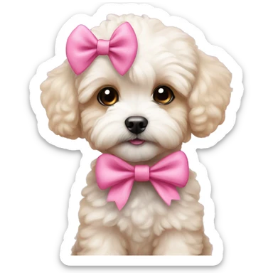 maltipoo puppy with a pink bow sticker