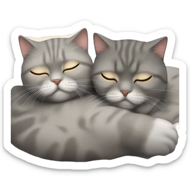 two Scottish fold cats are sleeping in an embrace. one is grey, the other is golden sticker