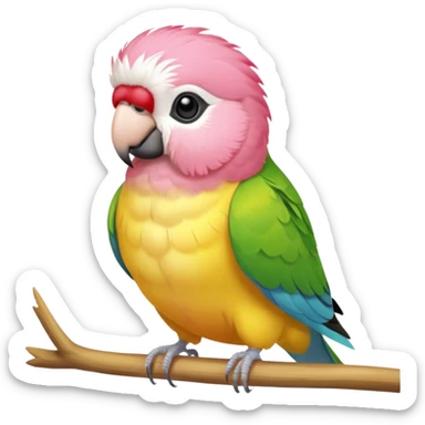 A pink and yellow Bourkes parakeet sticker