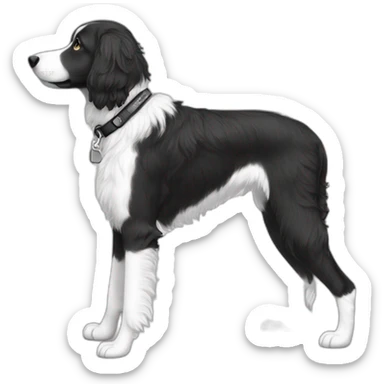 side profile medium sized black and white doodle on a leash sticker