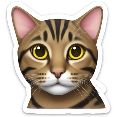 brown tabby cat with black stripes and yellow-green eyes and pink nose sticker
