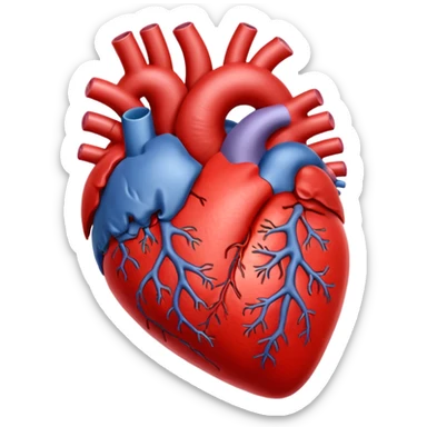 heart human organ sticker