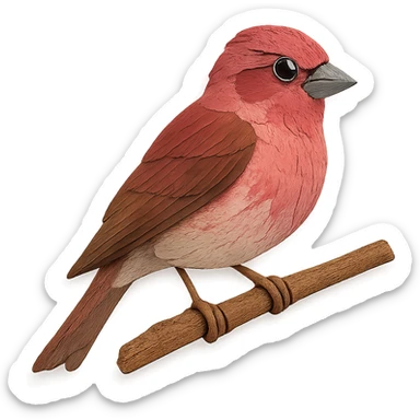 close-up of a purple finch perched on a tree branch, fine paper edges, expressive eye, raspberry-red and brown plumage sticker