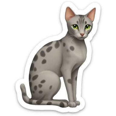 Short-haired oriental cat ,full body , grey coat with small spots , green eyes , terracotta nuzzle sticker