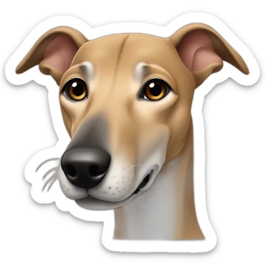tan greyhound with all tan nose faint black brindle striping that looks like eyebrows sticker