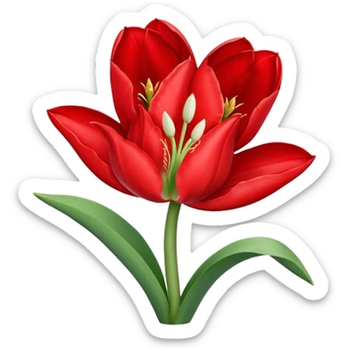 tulip flower entwined with an amaryllis flower sticker