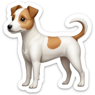 a full body slightly chubby white parson russell terrier looking dog the size of a kelpie with light brown long ears and a light brown patch on one eye and a large snout sticker