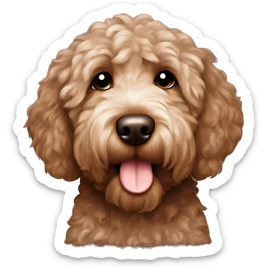 Chocolate brown goldendoodle  sticker