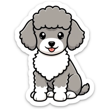 miniature poodle with this salt & pepper short hair sticker
