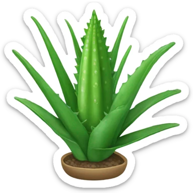 aloe vera sticker