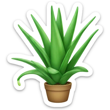 Aloe vera sticker