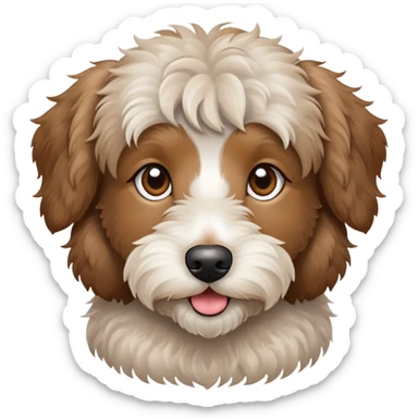 Light Brown aussiedoodle  sticker
