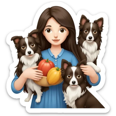 A long-haired girl holding two Border Collies sticker