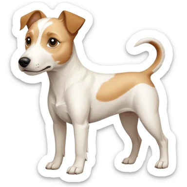 a full body buff white parson russell terrier looking dog the size of a kelpie with light brown long ears and a light brown patch on one eye and a large snout. the rest of the dog is completely white. forward facing sticker