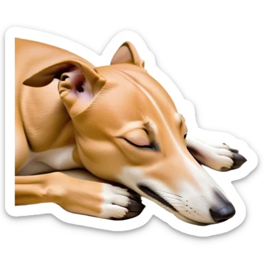 Meme-Worthy Cute Sleeping Fawn Greyhound Portrait Emoji, Head resting peacefully with a contented smile, showcasing a slender build and a luxuriously smooth fawn Fur, eyes shut in a serene nap, Simplified yet hilariously adorable features, highly detailed, glowing with a soft, drowsy light, high shine, relaxed and utterly lovable, stylized with an air of playful laziness, bright and heartwarming, soft glowing outline, capturing the essence of a comically sleepy racer, so meme-worthy it feels like it could instantly become the next viral sensation of adorable slumber! sticker