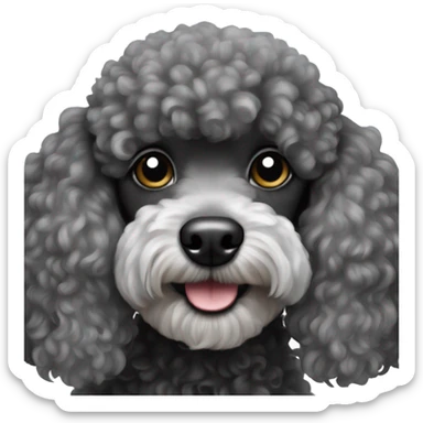 Black and grey miniature poodle sticker