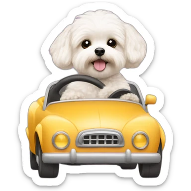 Maltipoo driving little car sticker