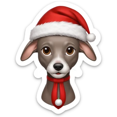 Black Italian greyhound wearing a Santa hat and beard sticker