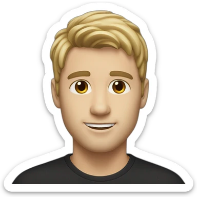 white man with clear skin with fringe up dark blonde hair style brown eyes and black t shirt sticker