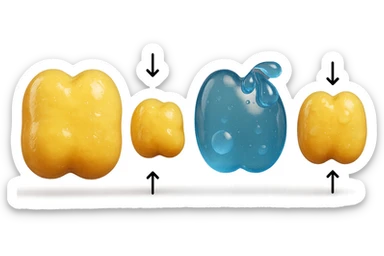 il processo di una cellula adiposa che si sgonfia, e si gonfia di acqua, falla identica all'immagine che ho allegato ma in 3d iperrealistica 4k sticker