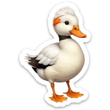 Dutch Hookbill Duck sticker