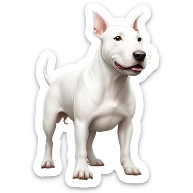 White bull terrier dog￼￼ sticker
