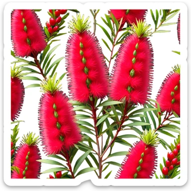Cinematic Realistic Callistemon Emoji, Vibrant and striking, with spiky red flowers resembling a bottlebrush. The slender leaves create a fine backdrop to the bold blooms, while the plant exudes energy and vitality. Soft glowing outline, capturing the essence of strength, color, and natural beauty in a brilliant callistemon tree! sticker