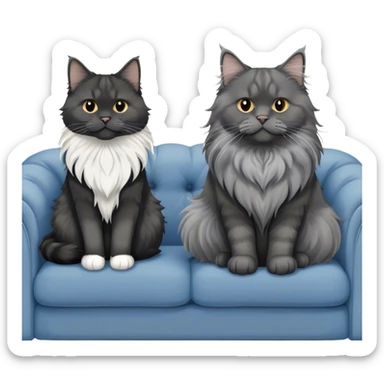 A large black smoke Maine Coon cat with long grey ear tufts and a fluffy grey ruff, sitting next to a chubby British Shorthair cat in blue color with plush fur, both sitting comfortably on a sofa. Beautiful room background with flowers and soft lighting. Transparent background. sticker