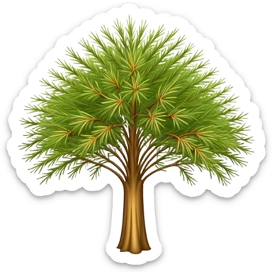 Cinematic Realistic Allocasuarina Emoji, Tall and elegant, with long, needle-like foliage that gives the tree a fine, wispy appearance. The tree’s soft, golden-brown color adds warmth to the landscape. Soft glowing outline, capturing the essence of Australian beauty, strength, and serenity in an allocasuarina tree! sticker