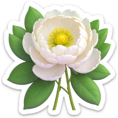A white peony flower with green leaves in iOS 3D style, with a yellow center, detailed petals, and a realistic yet stylized appearance. sticker