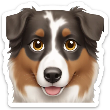 Australian shepherd with brown and blue eyes  sticker